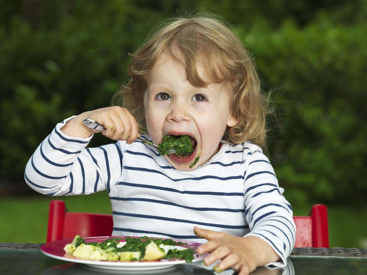 The Kid’s Healthy Eating Plate