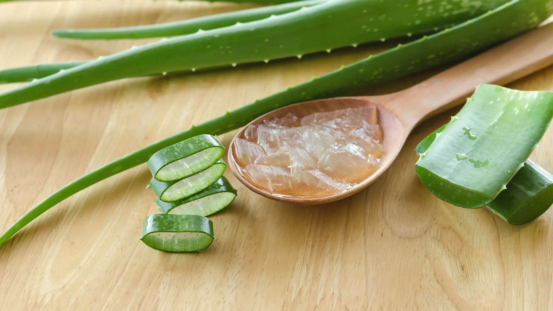 Aloe Vera, 8 health benefits and risks that you need to know