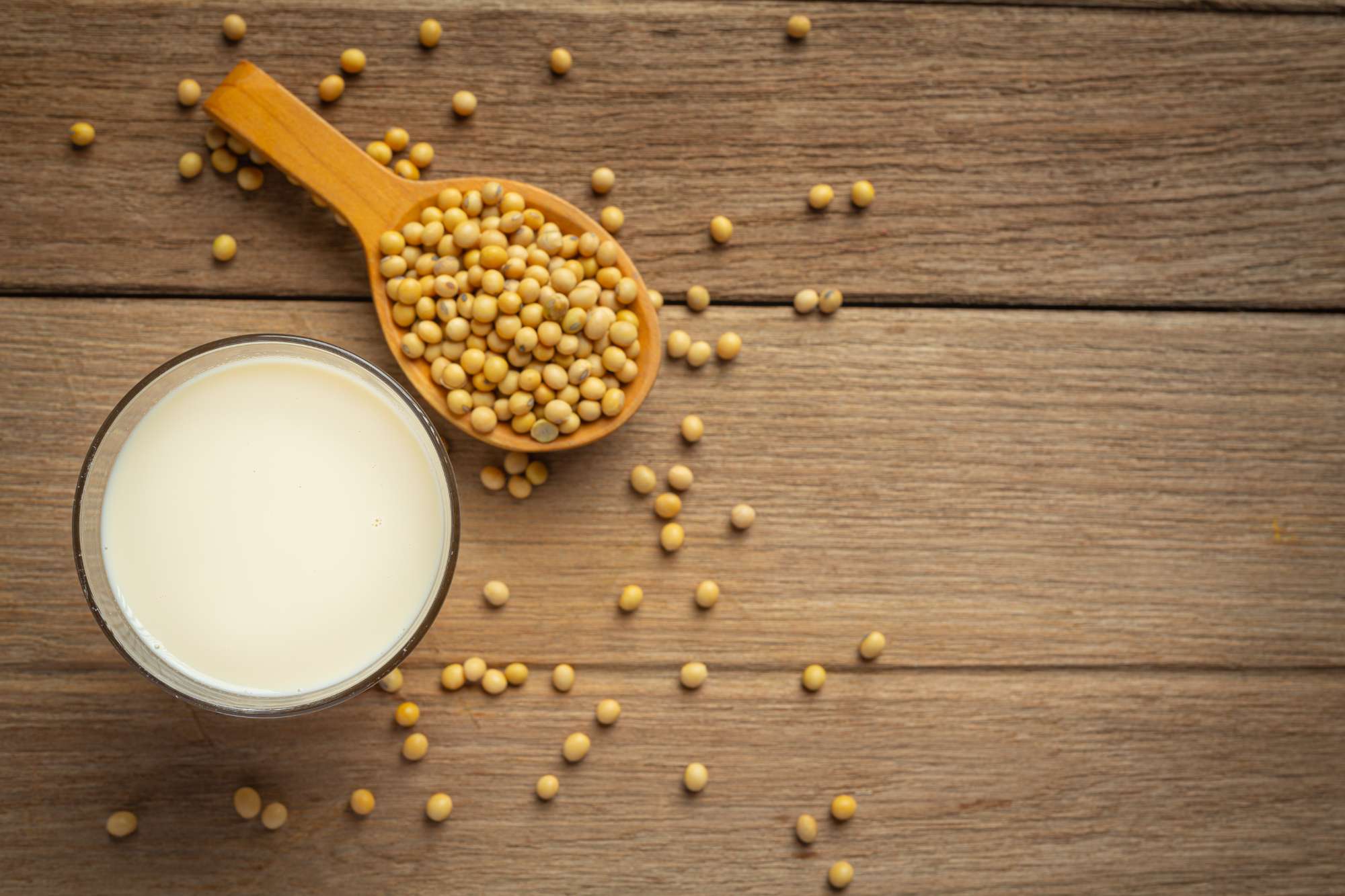 Should you drink Soy Milk every day?