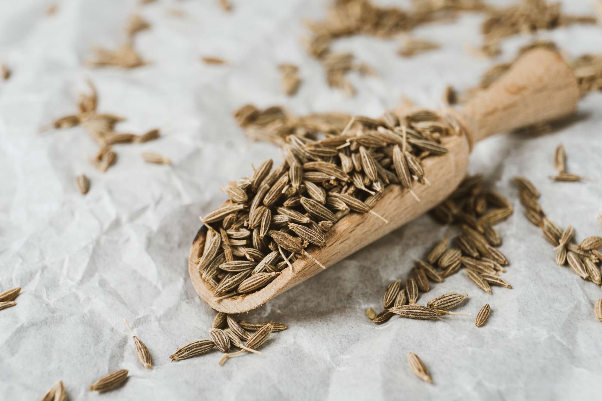 Cumin Seed