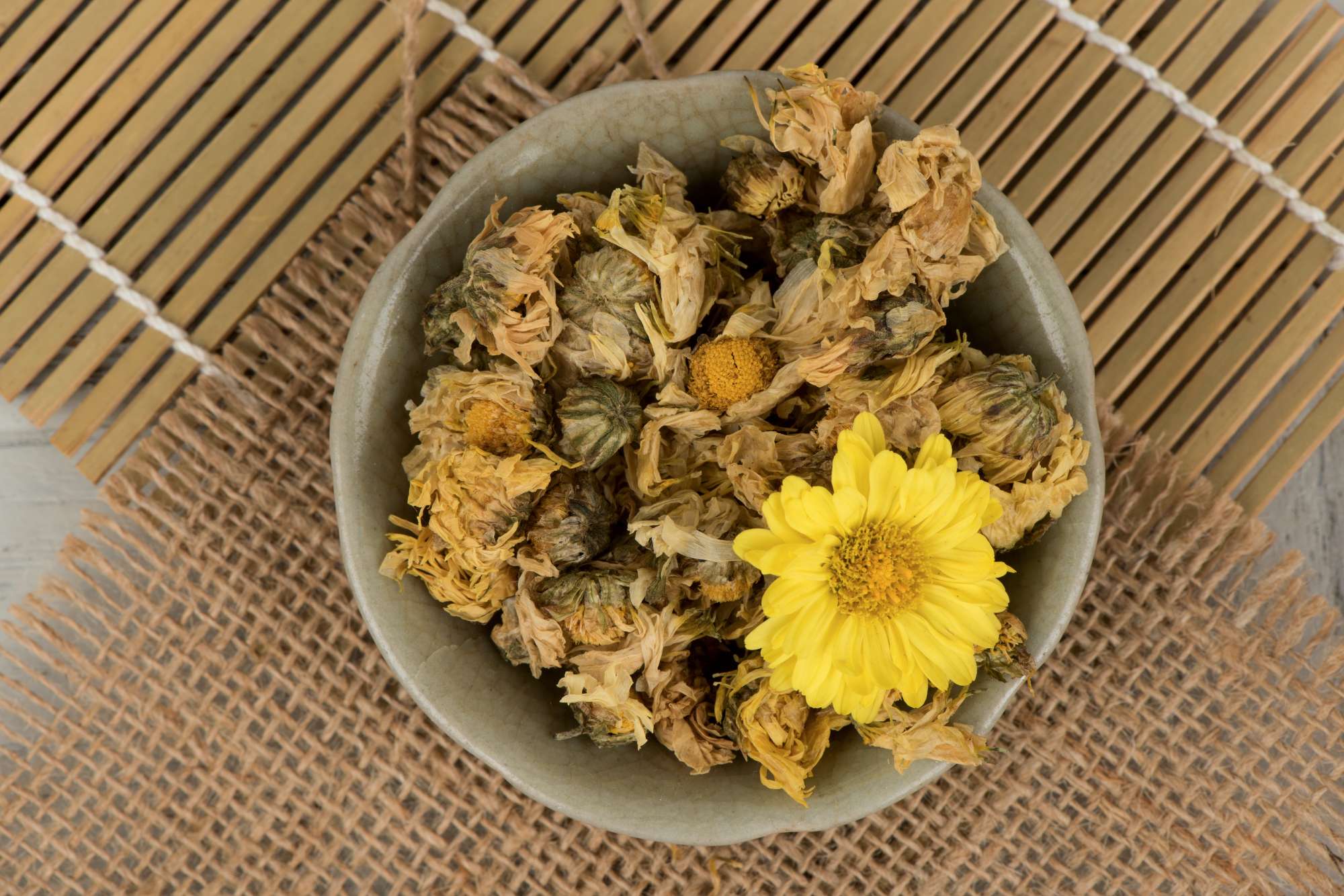 Trà hoa cúc chi<strong> Chrysanthemum</strong>